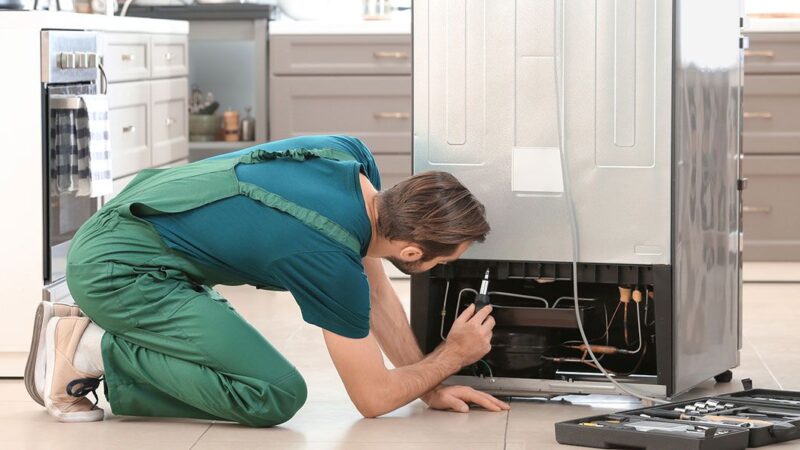 Tips To Consider When Calling For the Professional for the Refrigerator Repair